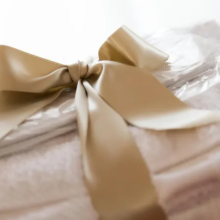 利昂蓝光住宿加早餐旅馆